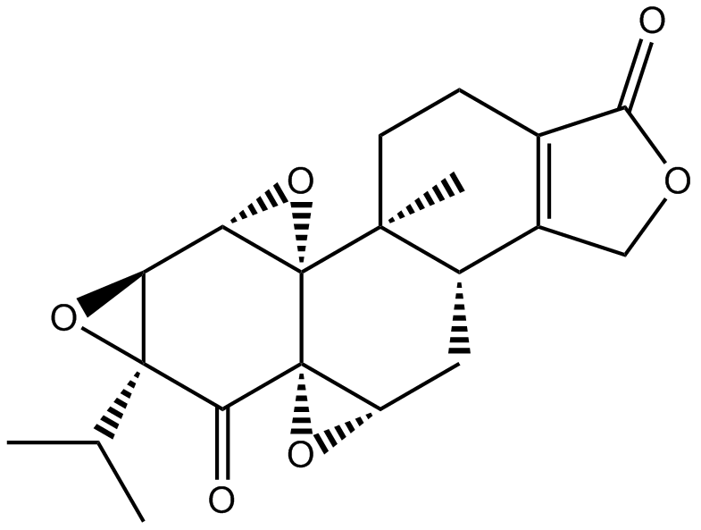 Structure of Triptonide